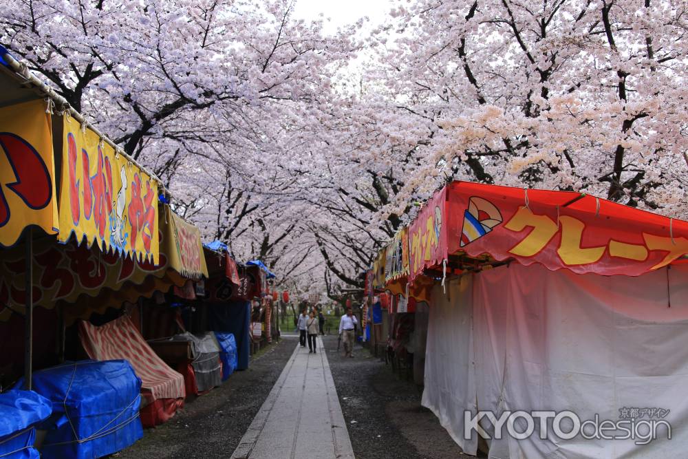 早朝の露天と桜