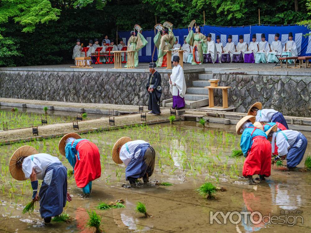 伏見稲荷大社　伝統神事「田植祭」➁