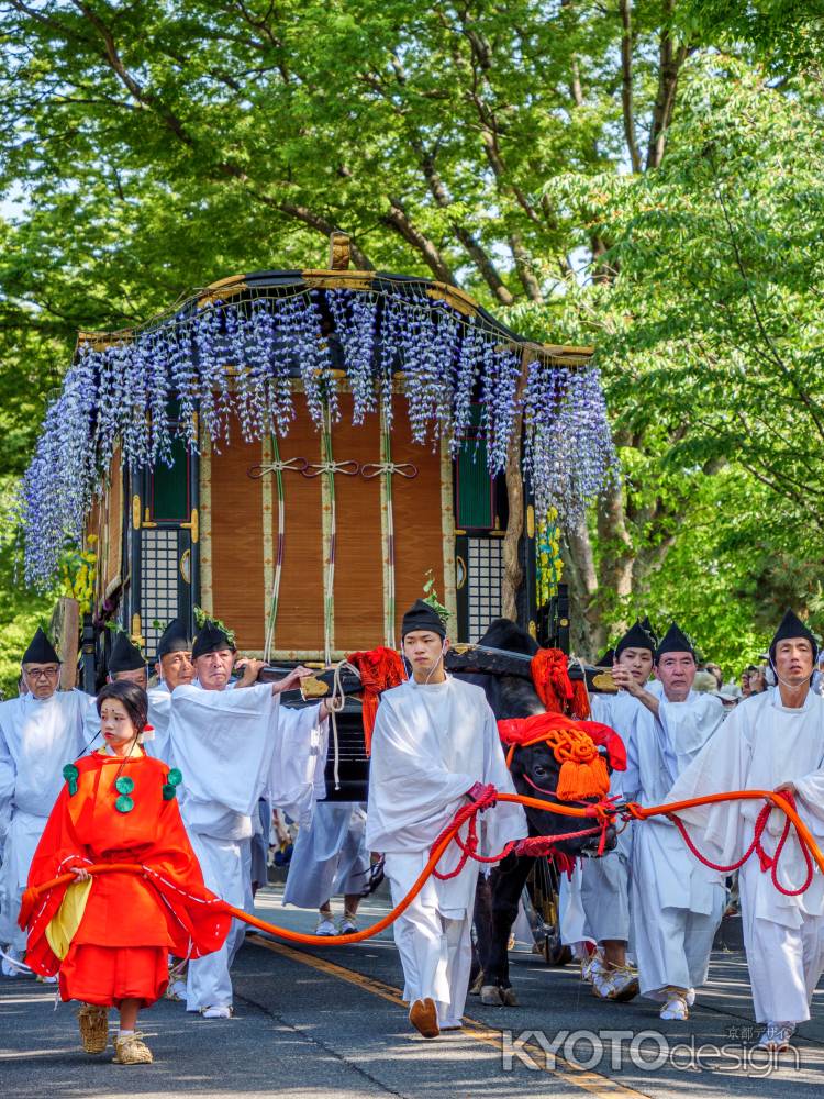 賀茂神社　伝統例祭「葵祭」　～牛車～