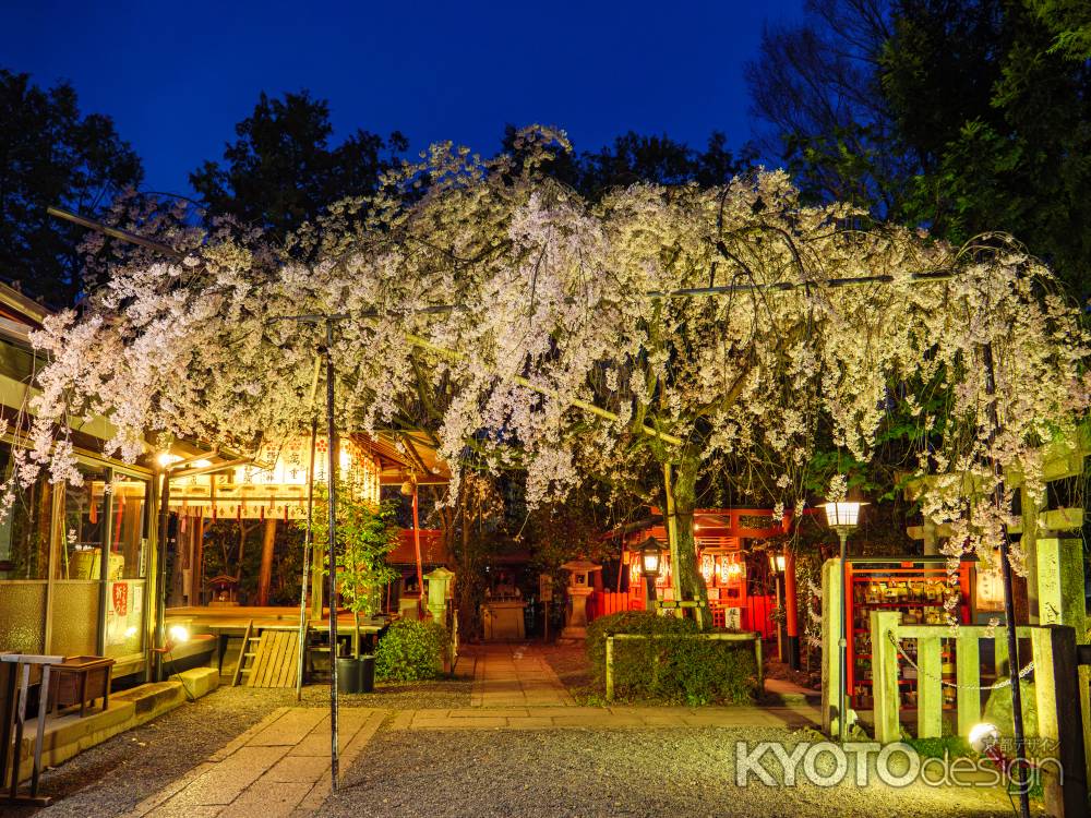 水火天満宮の夜桜➁