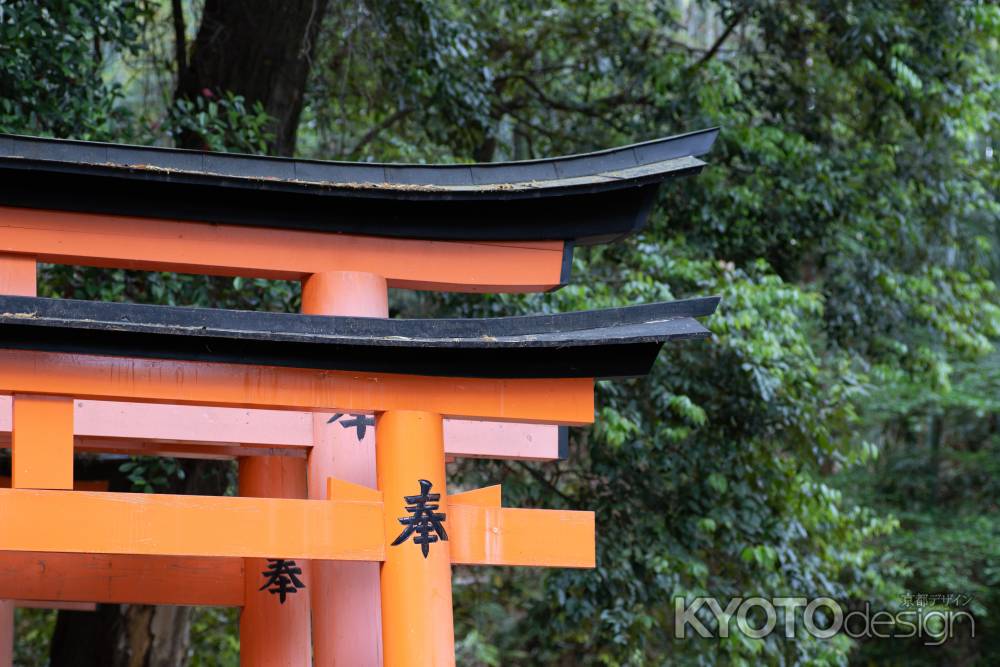 伏見稲荷大社の朱色の鳥居と深緑の風景