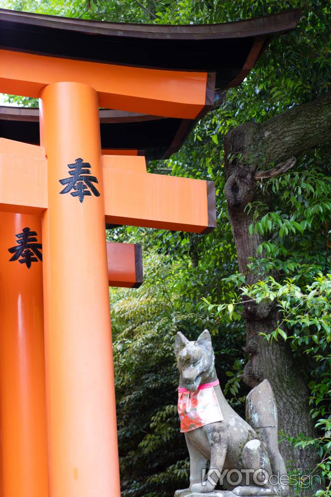 伏見稲荷大社の朱色の鳥居と白狐の石像