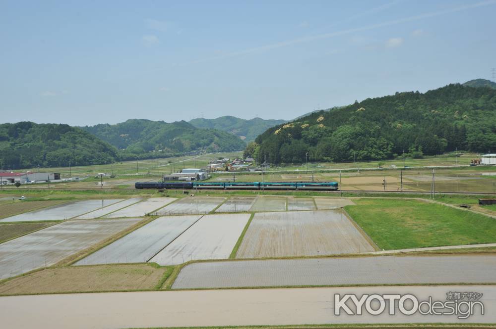 水田を行くタンゴデスカバリー