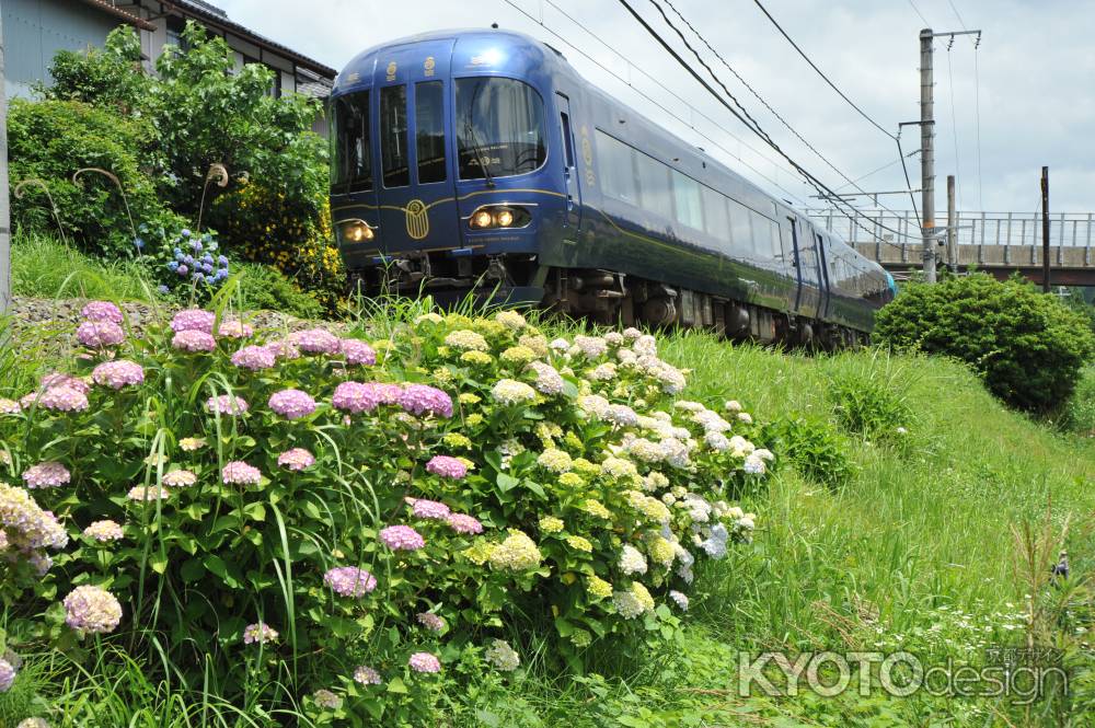 紫陽花の咲く鉄路