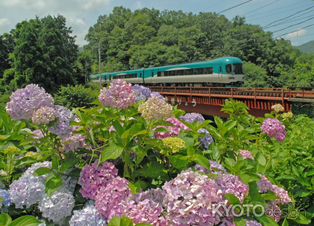 紫陽花の咲く丹波路