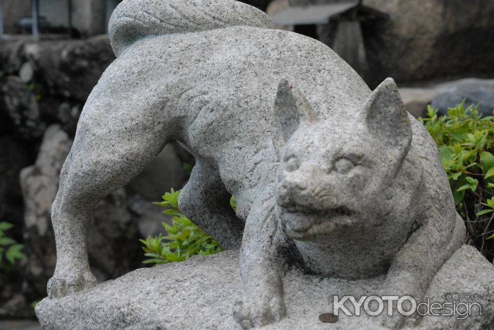 即成院　狛犬