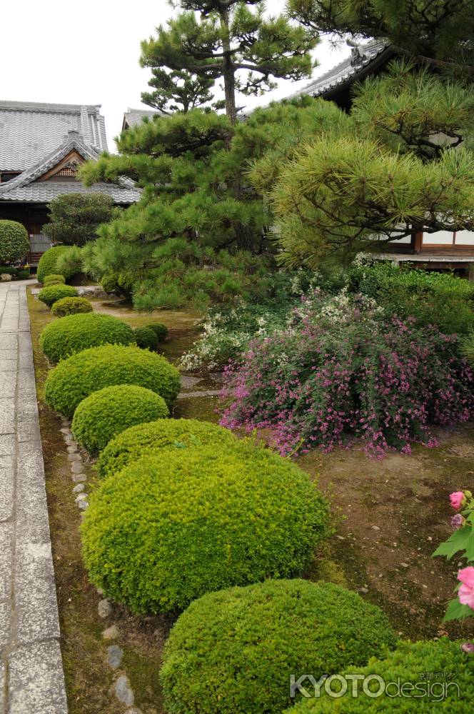 成願寺③