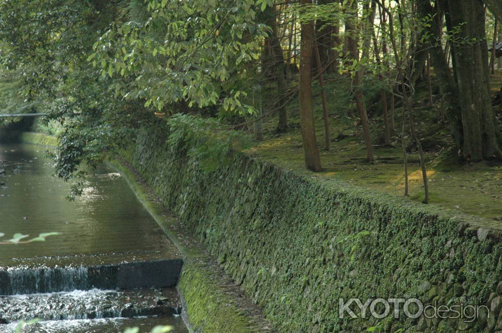 西芳寺の近くを流れる川