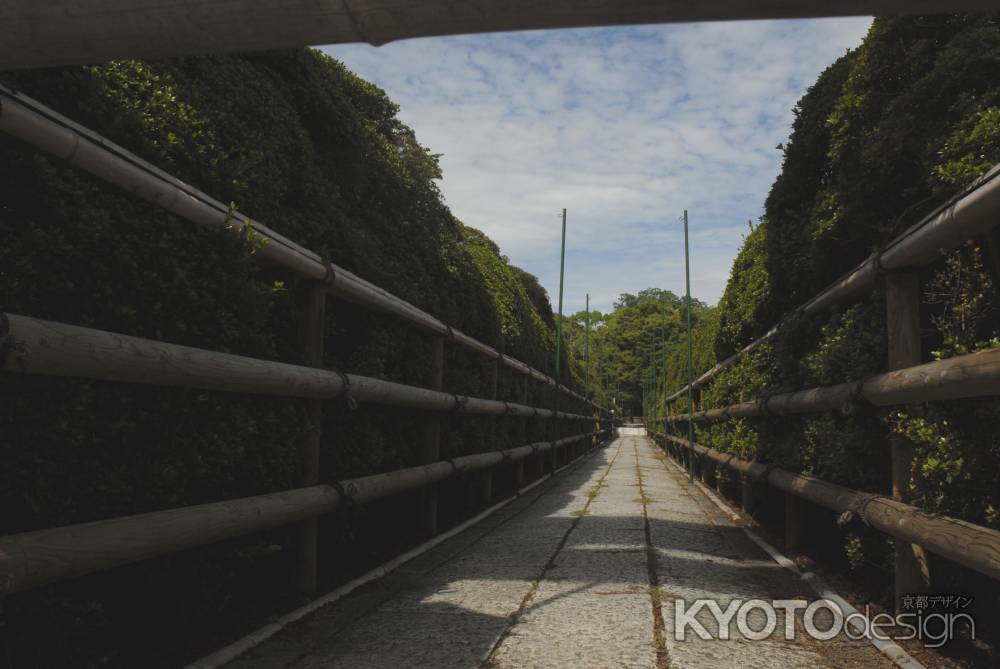 夏の長岡天満宮　霧島つつじ