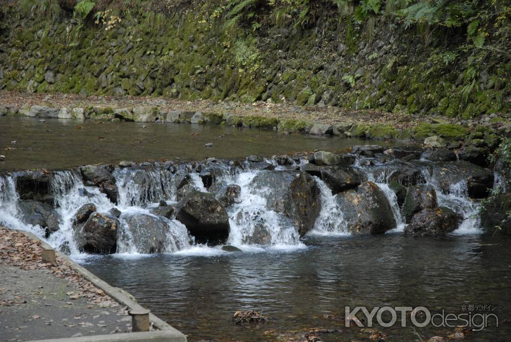 貴船川の石積みの堰