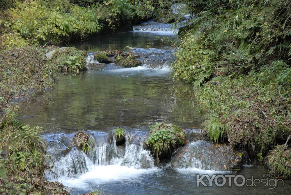 貴船川のいくつもの堰