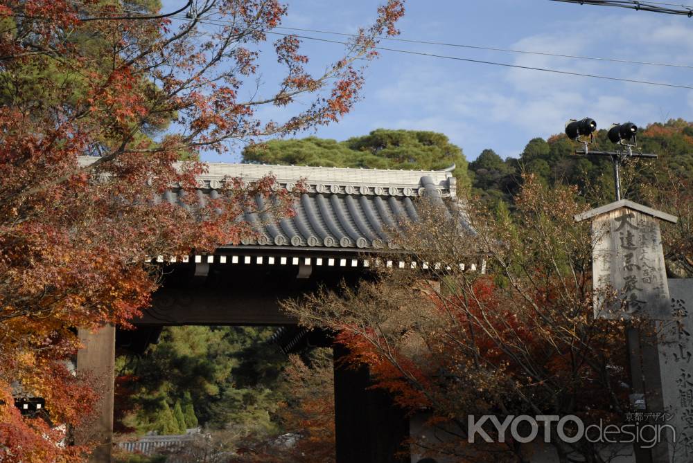 秋の永観堂総門