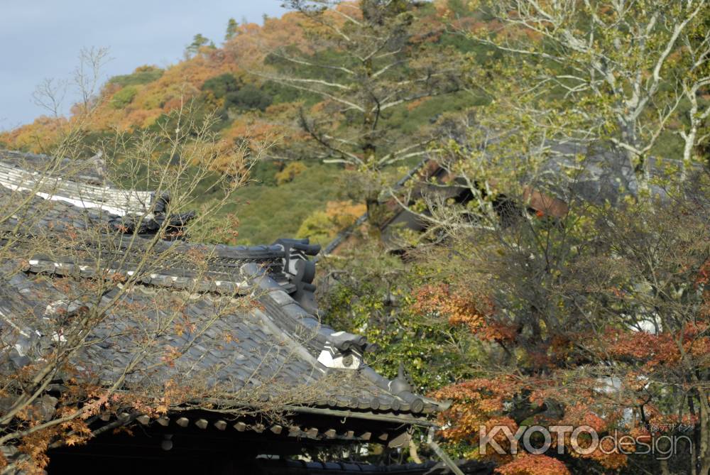 山もお寺も秋の色