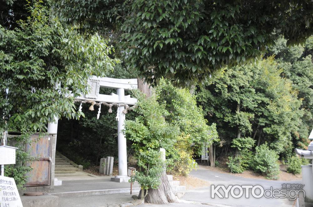 走田神社　鳥居2