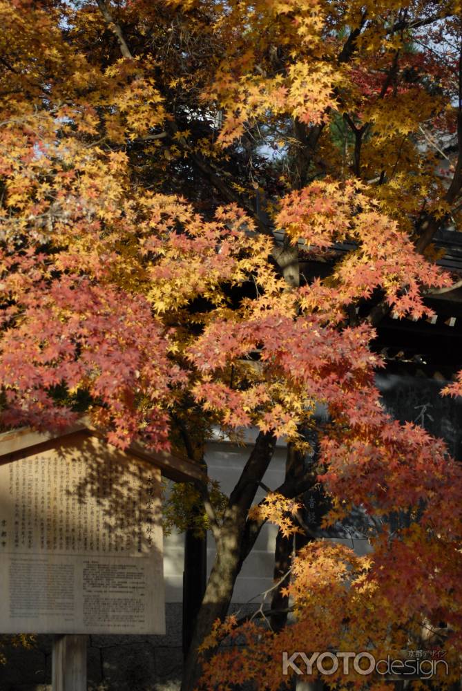 永観堂　紅と黄色のグラデーション