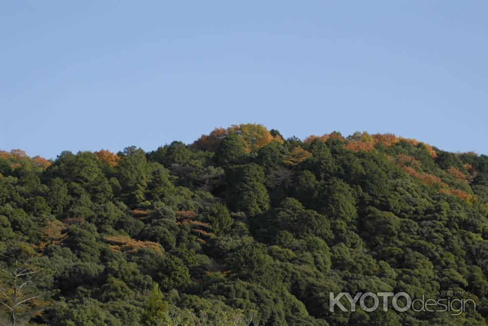 紅葉づいた山