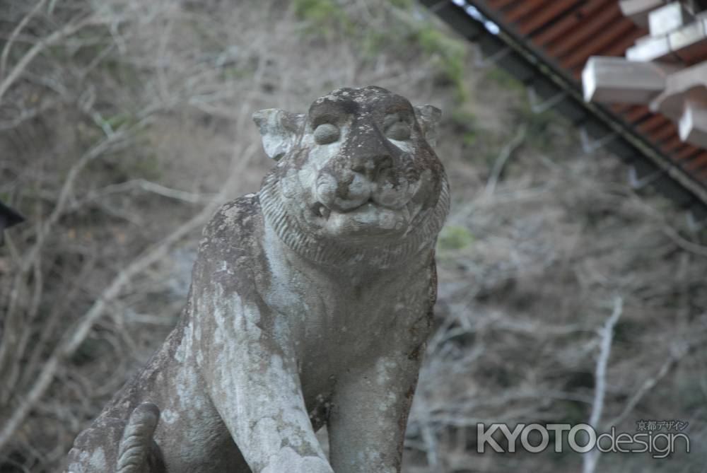 鞍馬寺の虎　アップ