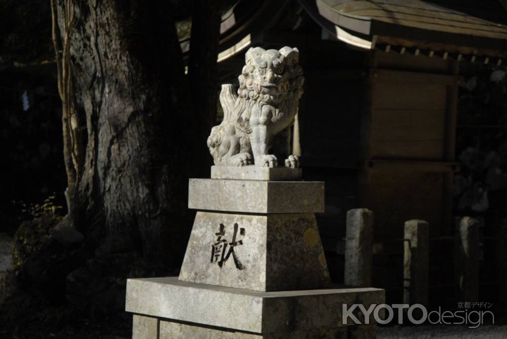 貴船神社　奥宮の狛犬