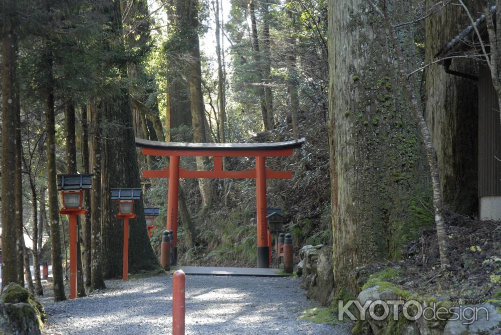 赤い鳥居と赤い灯篭