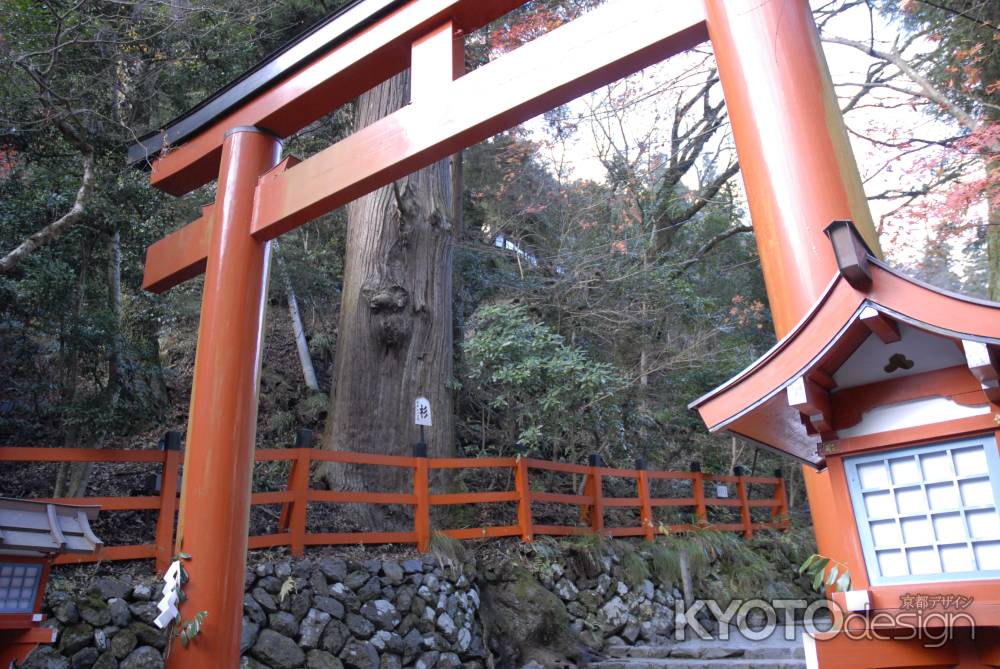 貴船神社　赤い鳥居