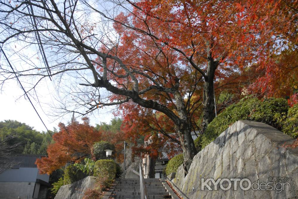 秋晴れの長法寺