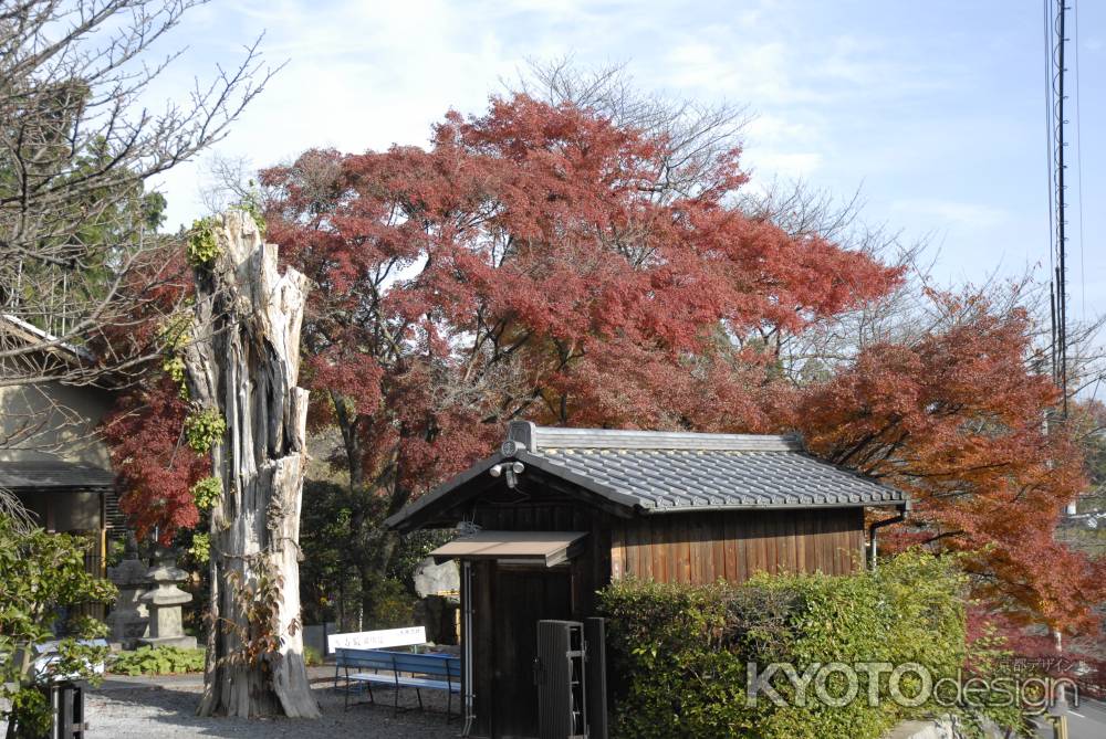 長法寺の秋