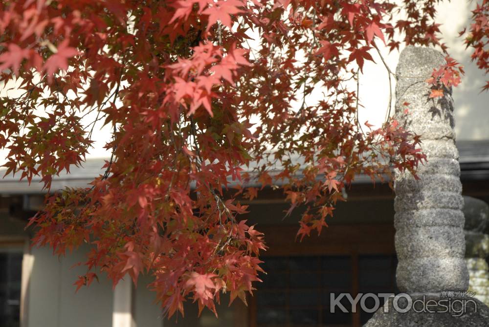 長法寺　赤く染まった紅葉