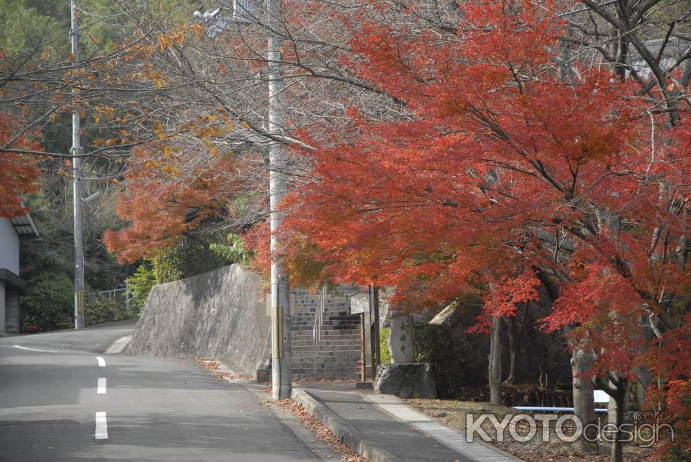 長法寺近くの紅葉