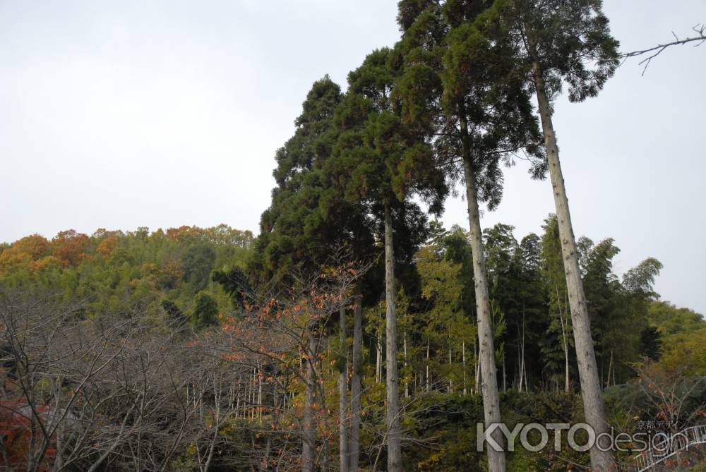 長法寺付近の風景