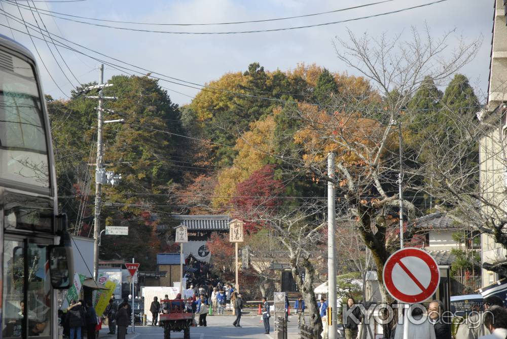 光明寺の秋の参道