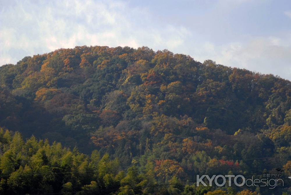 光明寺裏の西山