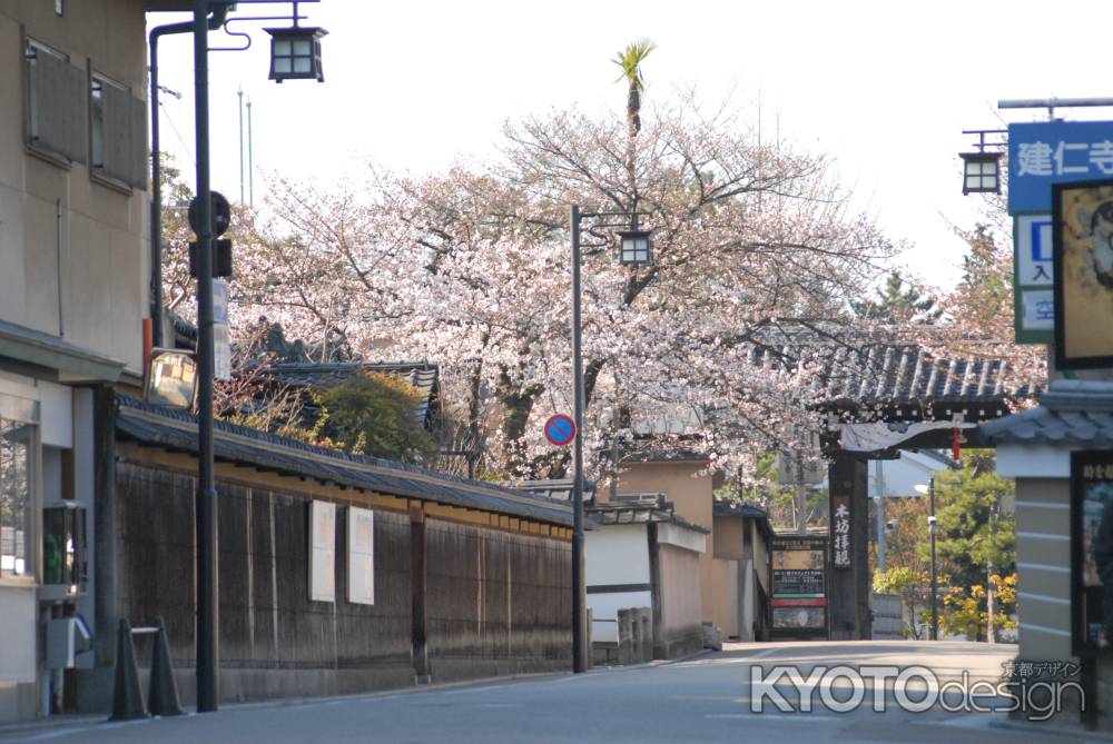 満開の桜と建仁寺の門