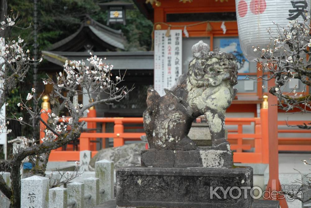 長岡天満宮の狛犬と梅