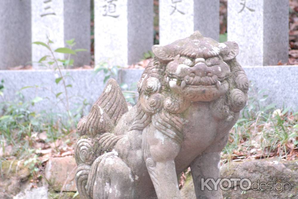 長岡天満宮の狛犬2