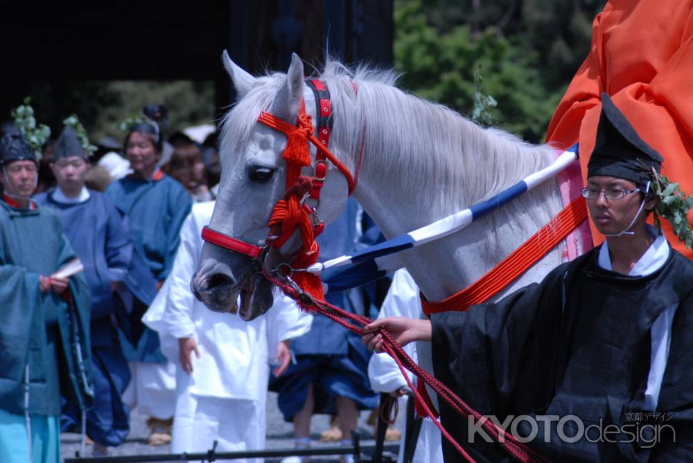 葵祭　舞人が乗る馬