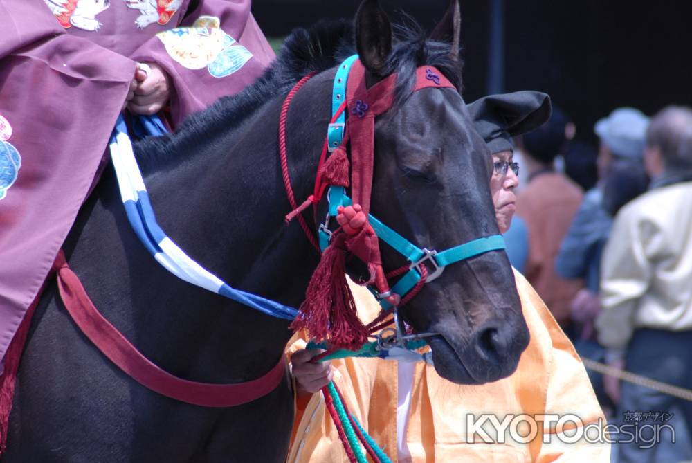 葵祭　陪従が乗る馬