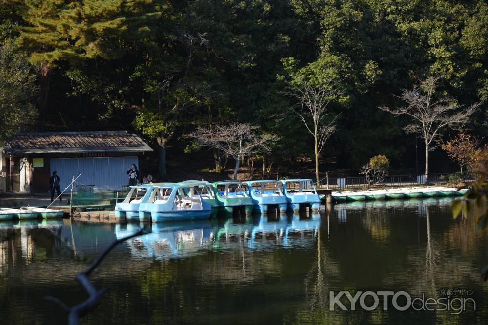 宝が池公園１４