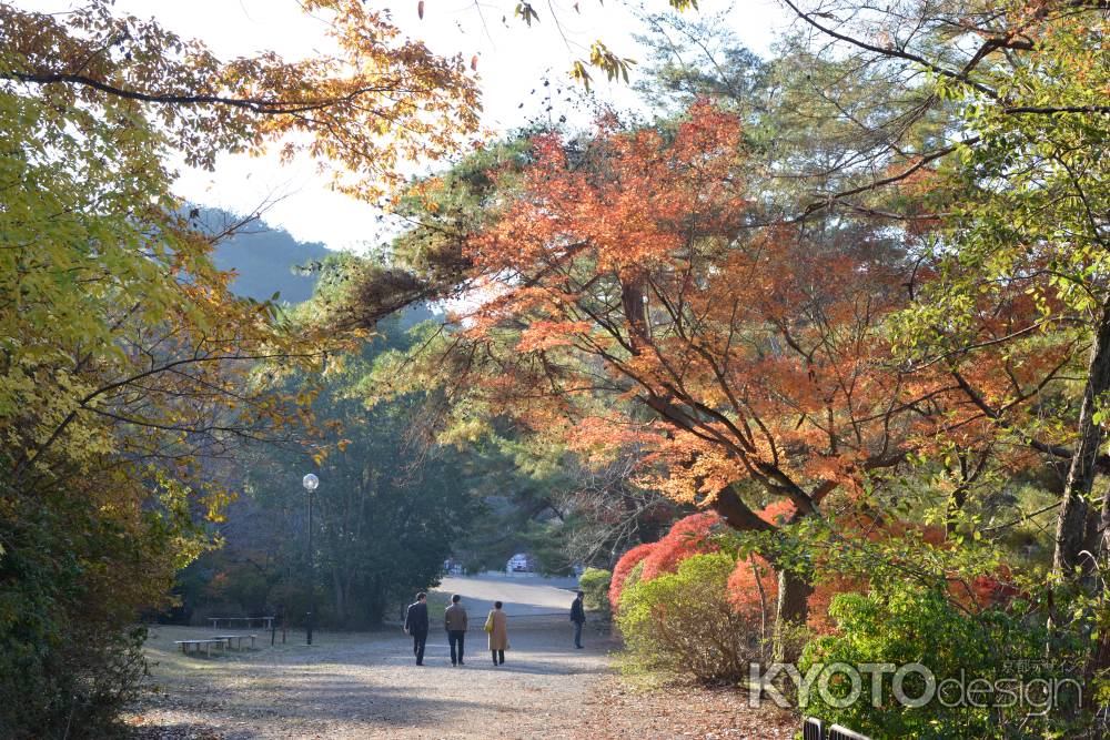 宝が池公園１６