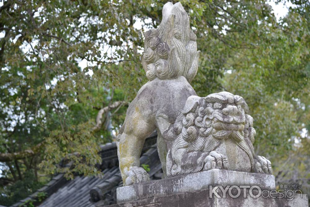 藤森神社 狛犬3