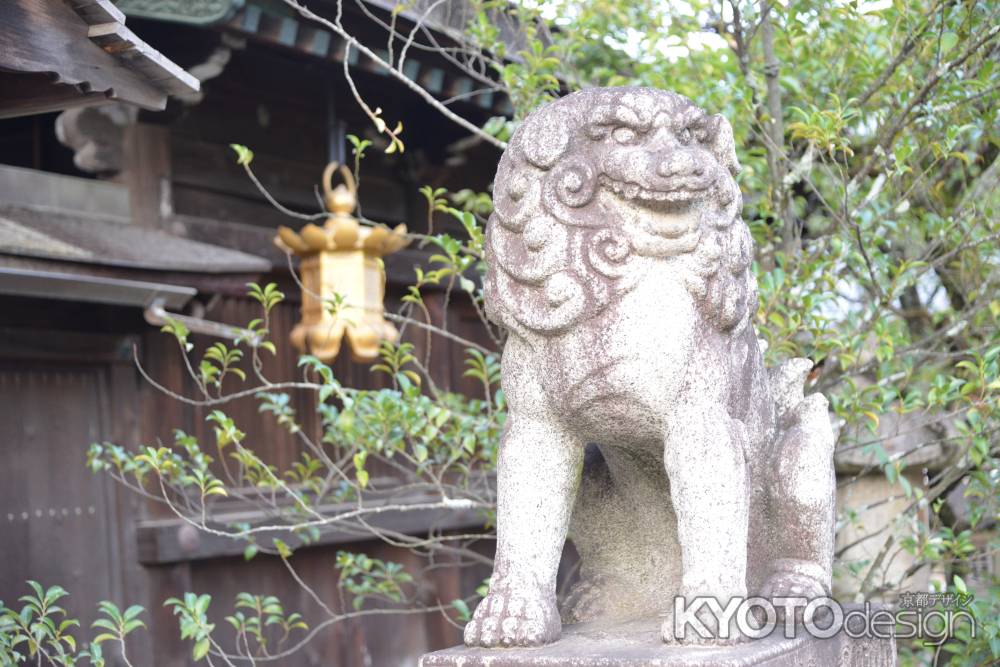 北野天満宮狛犬１０