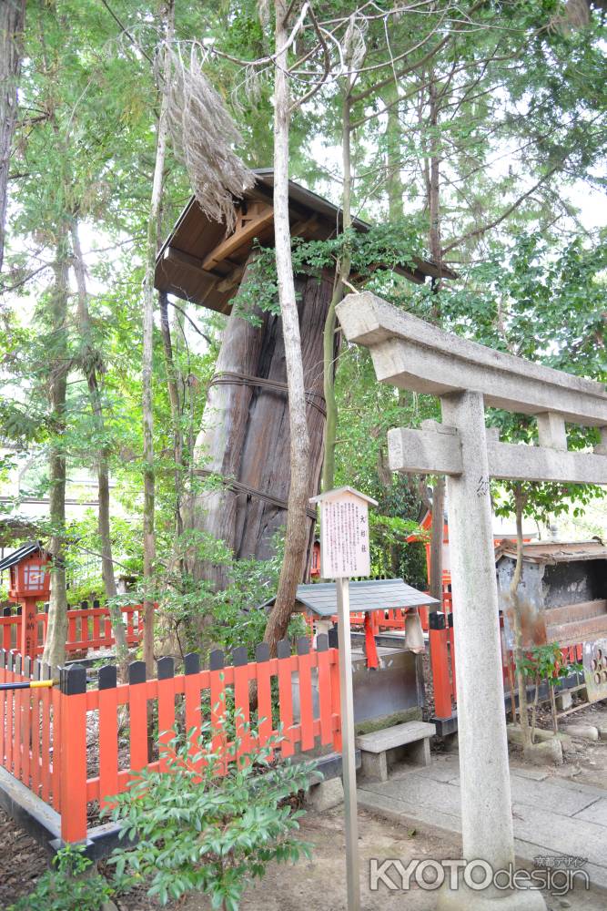 北野天満宮大杉社１