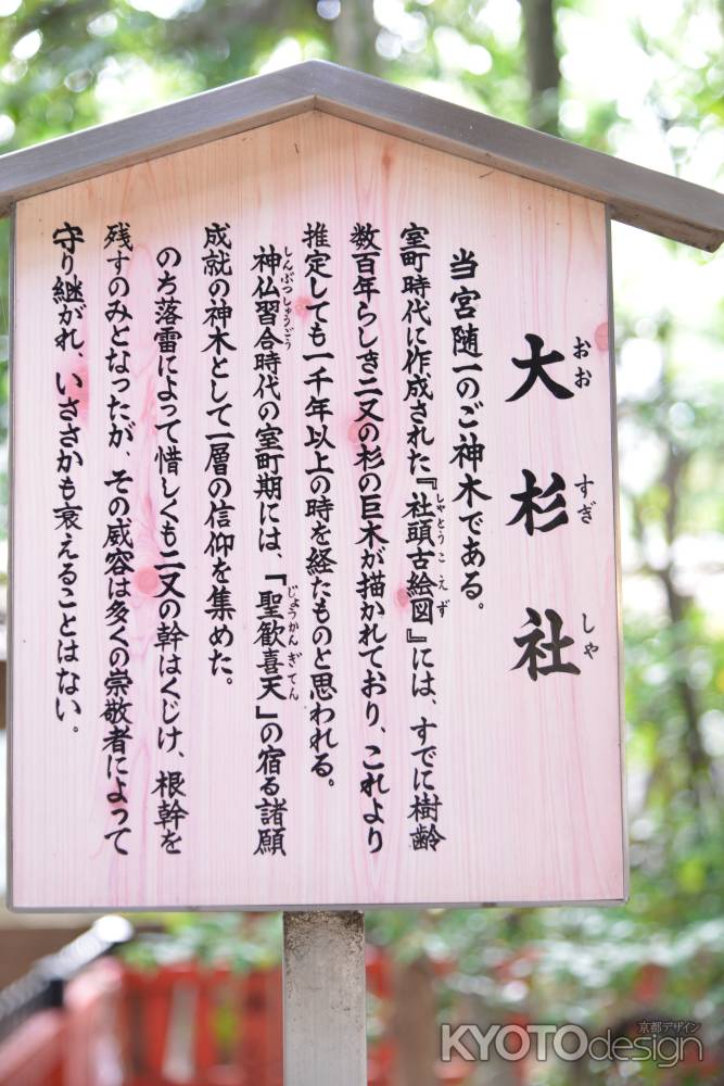 北野天満宮大杉社２