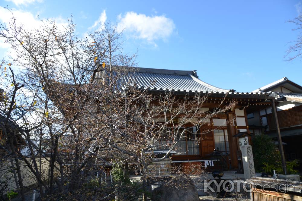 大蓮寺　蝋梅１