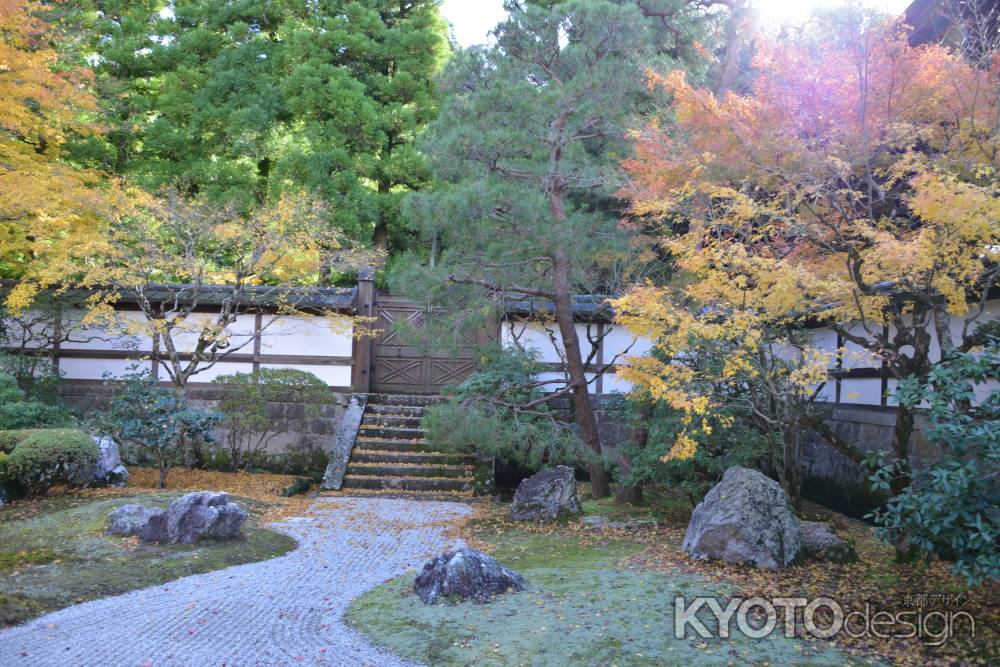 泉涌寺 御座所 中庭の紅葉1