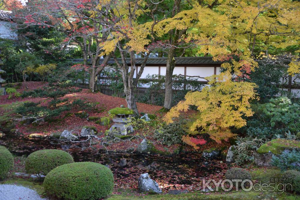 泉涌寺 御座所 中庭の紅葉2