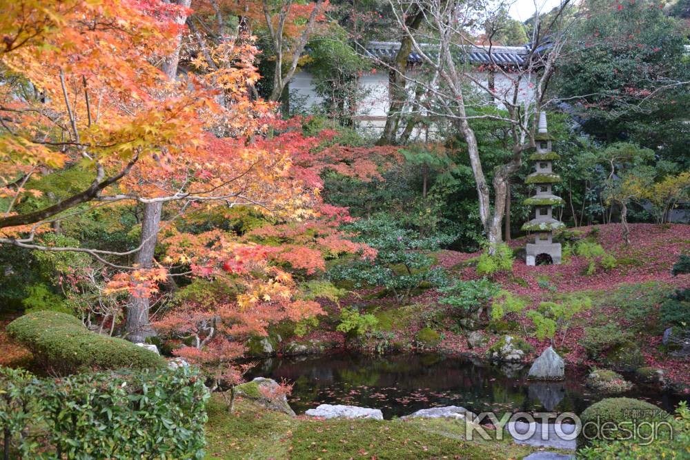 泉涌寺 御座所 中庭の紅葉4