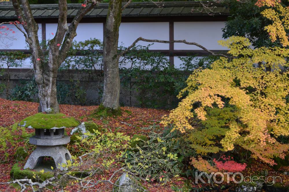 泉涌寺 御座所 中庭の紅葉5