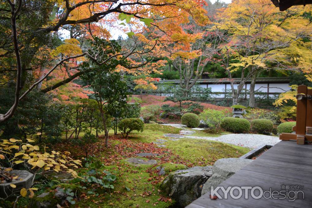 泉涌寺 御座所 中庭の紅葉6