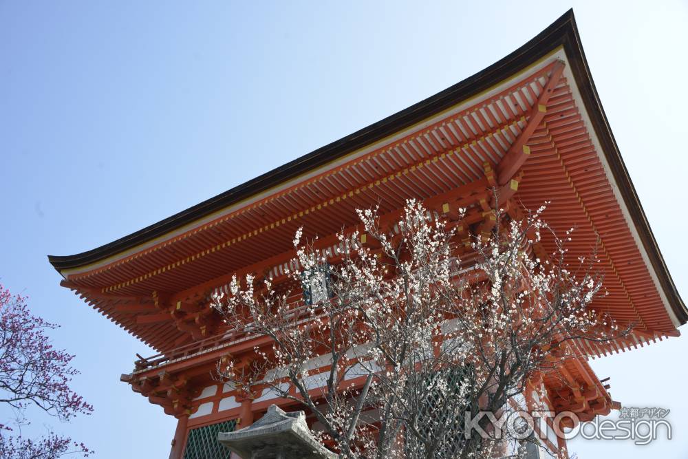 清水寺　仁王門と梅６