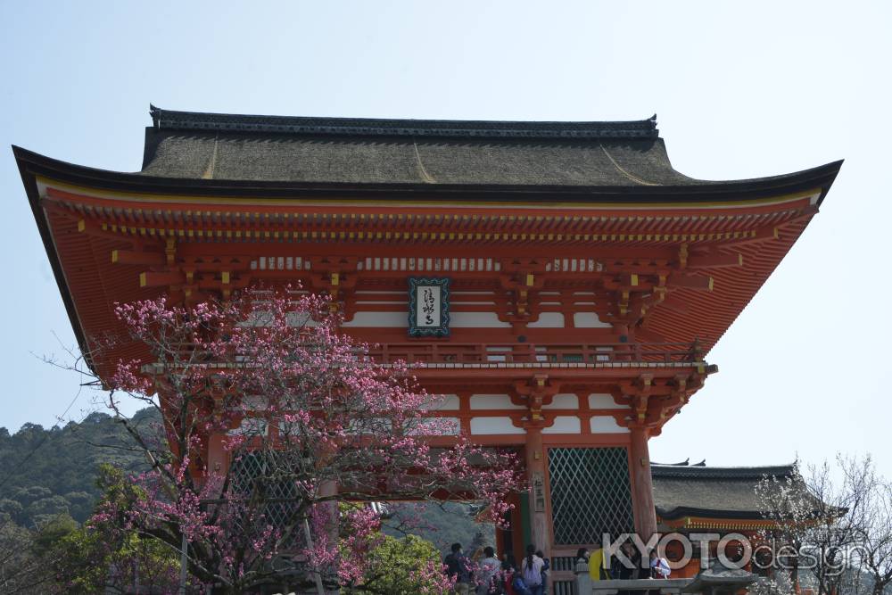 清水寺　仁王門と梅